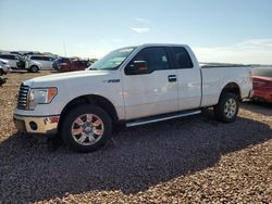 Salvage cars for sale from Copart Phoenix, AZ: 2012 Ford F150 Super Cab