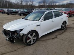 KIA Optima SX Vehiculos salvage en venta: 2016 KIA Optima SX