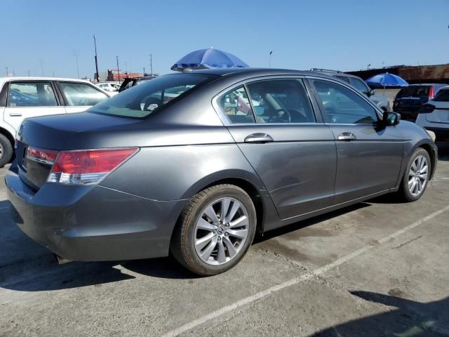 2011 Honda Accord EXL