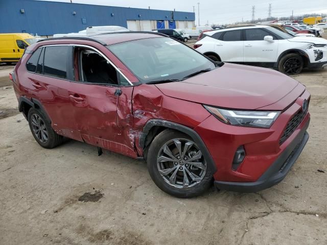 2023 Toyota Rav4 XLE Premium