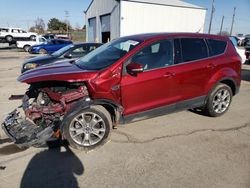 Ford salvage cars for sale: 2013 Ford Escape SEL