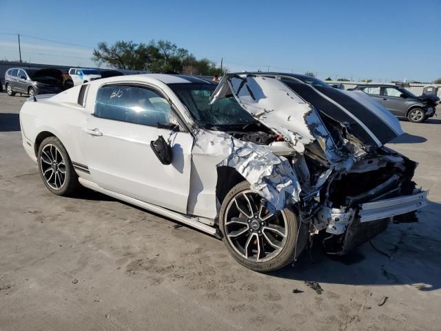 2013 Ford Mustang