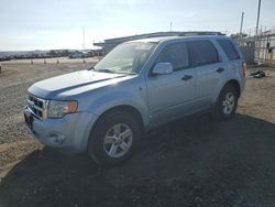 Ford salvage cars for sale: 2008 Ford Escape HEV