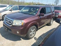 Salvage cars for sale from Copart Bridgeton, MO: 2011 Honda Pilot EXL