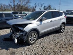 Ford Escape salvage cars for sale: 2019 Ford Escape SE