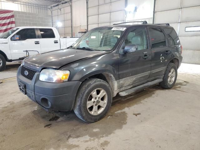 2005 Ford Escape XLT