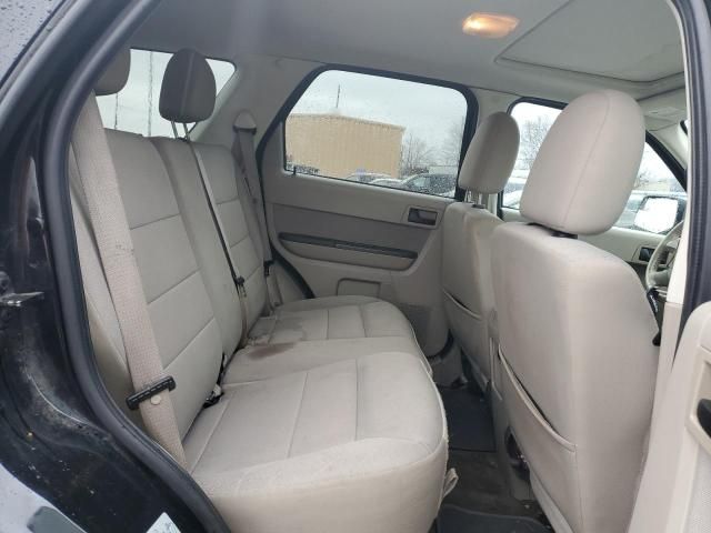 2011 Ford Escape XLT