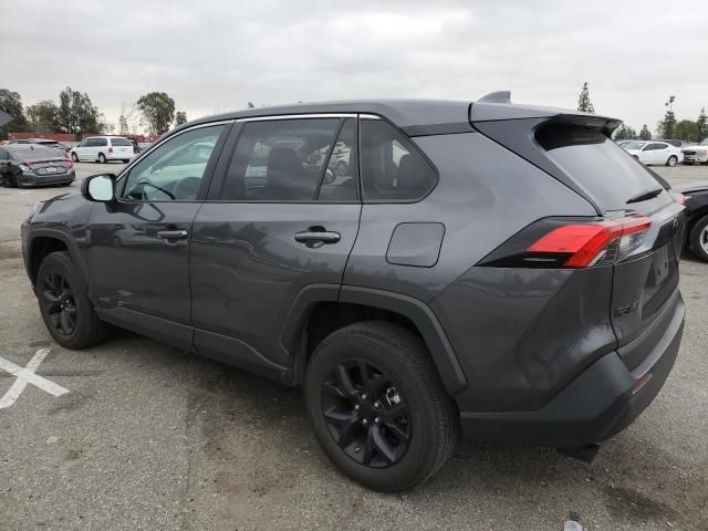 2023 Toyota Rav4 LE