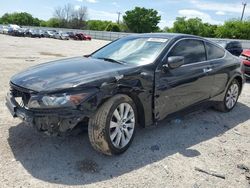 Honda Accord EXL salvage cars for sale: 2009 Honda Accord EXL