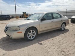 Salvage cars for sale from Copart Andrews, TX: 2002 Nissan Maxima GLE