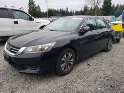 Honda Accord LX Vehiculos salvage en venta: 2014 Honda Accord LX