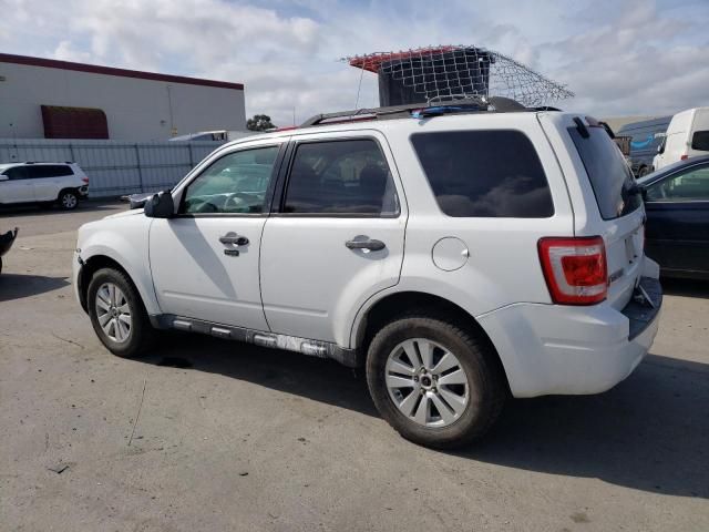 2011 Ford Escape XLT