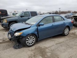 Salvage cars for sale at Indianapolis, IN auction: 2013 Toyota Corolla Base