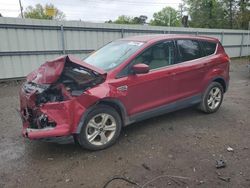 Salvage cars for sale from Copart Shreveport, LA: 2016 Ford Escape SE