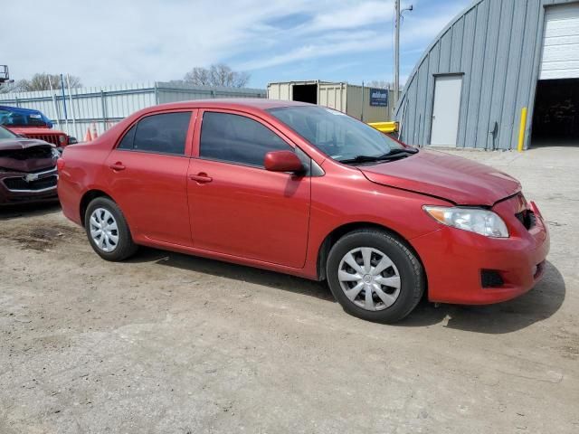 2010 Toyota Corolla Base