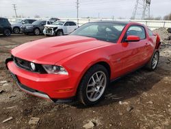 Salvage cars for sale from Copart Elgin, IL: 2010 Ford Mustang GT