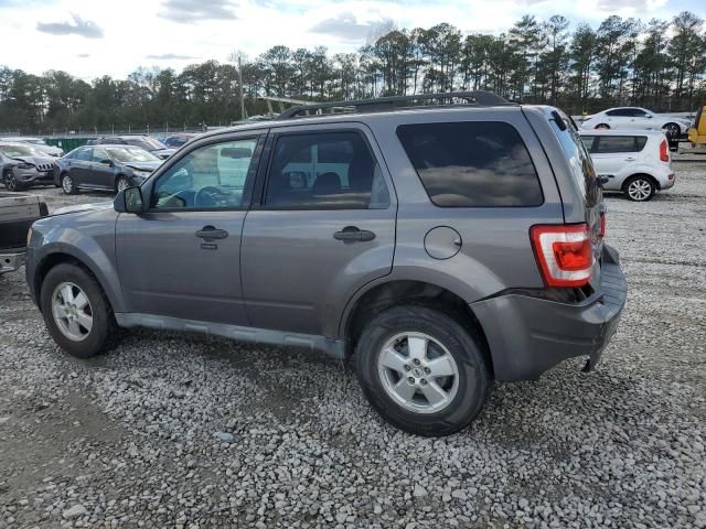 2010 Ford Escape XLT