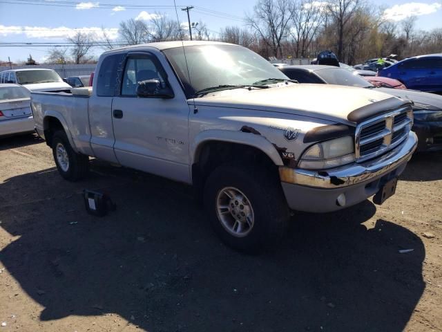 1999 Dodge Dakota