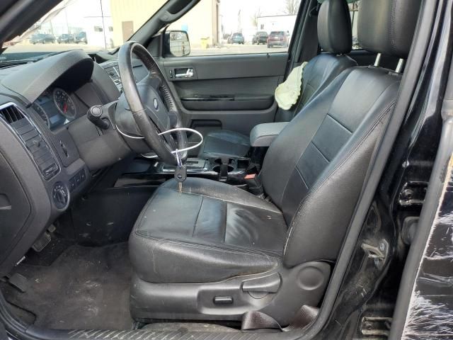 2010 Ford Escape Limited