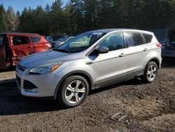 Salvage cars for sale at Graham, WA auction: 2015 Ford Escape SE