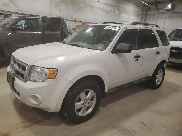 2011 Ford Escape XLT