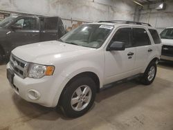 Salvage cars for sale at Milwaukee, WI auction: 2011 Ford Escape XLT