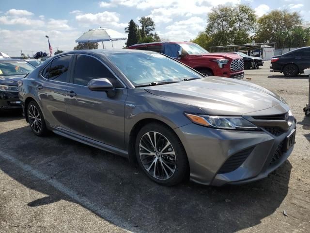 2019 Toyota Camry Hybrid