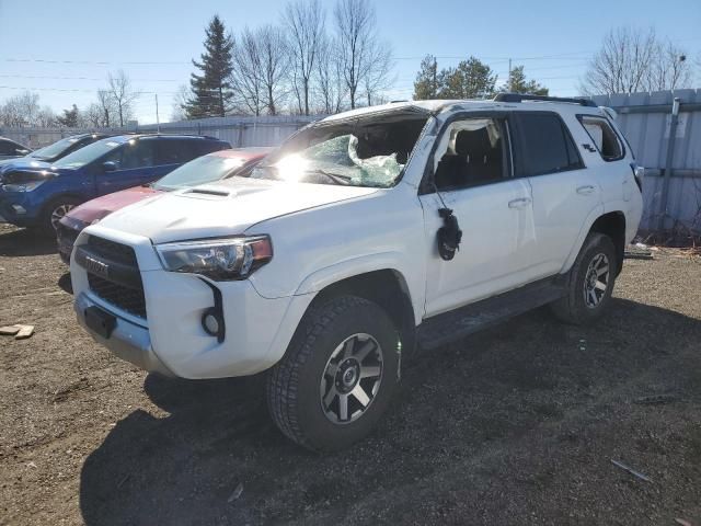 2019 Toyota 4runner SR5