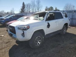 Salvage cars for sale from Copart Ontario Auction, ON: 2019 Toyota 4runner SR5