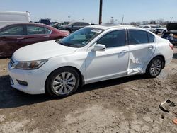 Salvage cars for sale from Copart Indianapolis, IN: 2014 Honda Accord EXL