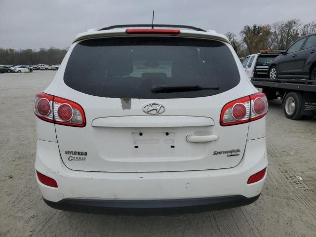 2010 Hyundai Santa FE SE