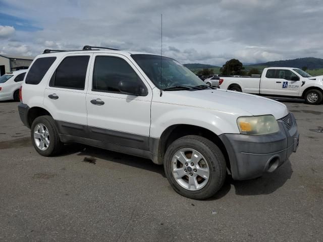 2007 Ford Escape XLT