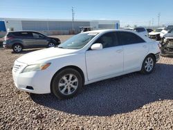 Toyota Camry se salvage cars for sale: 2009 Toyota Camry SE