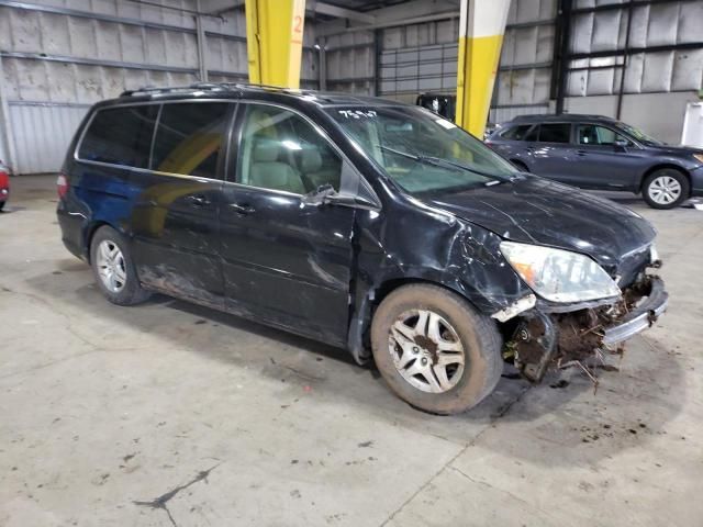 2005 Honda Odyssey EXL