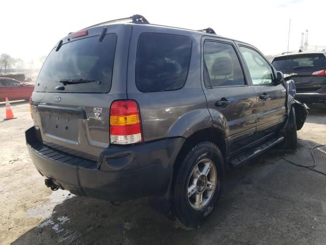 2005 Ford Escape XLT