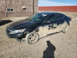 Salvage cars for sale from Copart Rapid City, SD: 2013 KIA Optima EX