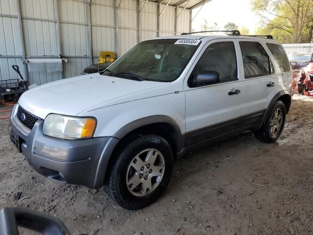 2004 Ford Escape XLT