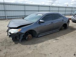 Salvage cars for sale from Copart Bakersfield, CA: 2013 Toyota Camry L