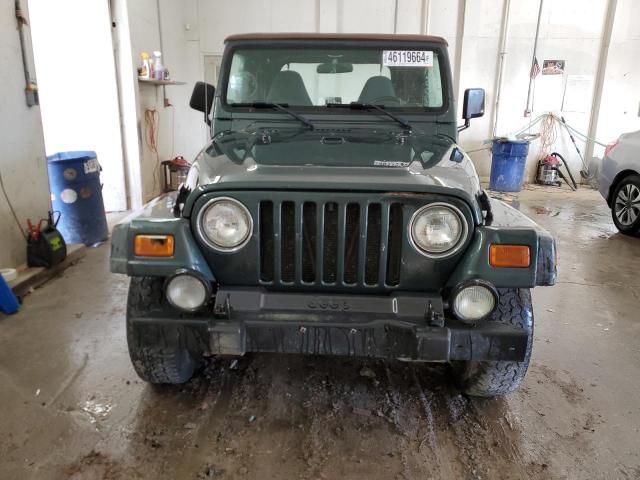 2002 Jeep Wrangler / TJ Sport