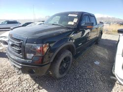 Salvage trucks for sale at Magna, UT auction: 2013 Ford F150 Supercrew