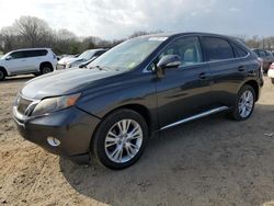 Lexus RX 450 salvage cars for sale: 2010 Lexus RX 450