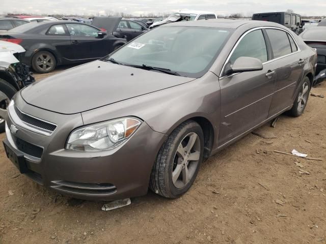 2011 Chevrolet Malibu 1LT