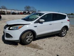 Salvage cars for sale from Copart Haslet, TX: 2014 Ford Escape SE