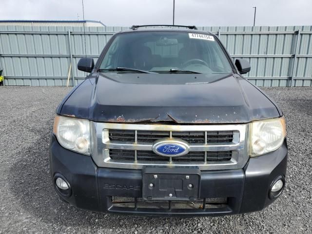 2011 Ford Escape XLT