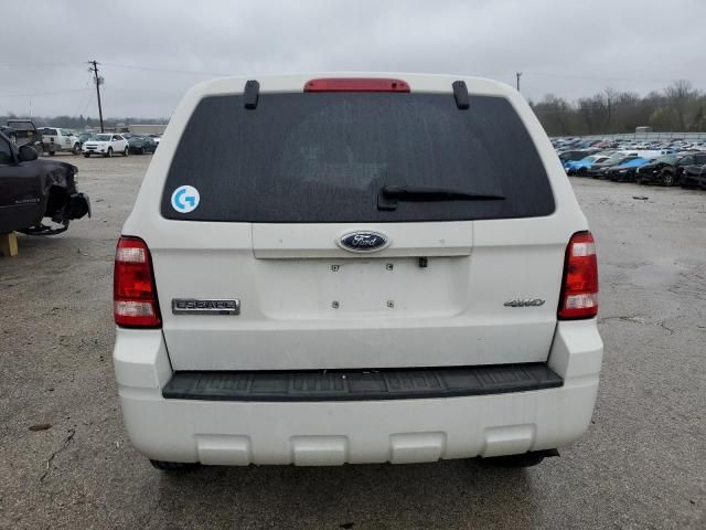 2009 Ford Escape XLT