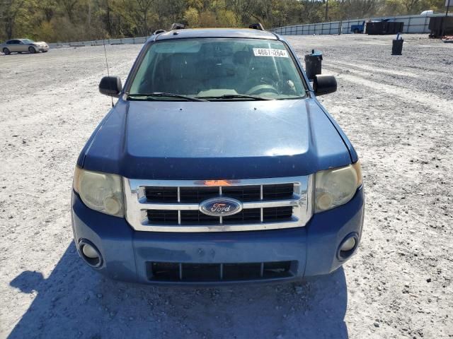 2008 Ford Escape XLT