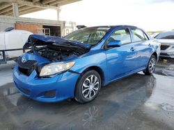 Salvage cars for sale from Copart West Palm Beach, FL: 2009 Toyota Corolla Base