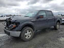 Salvage cars for sale from Copart Eugene, OR: 2013 Ford F150 Supercrew