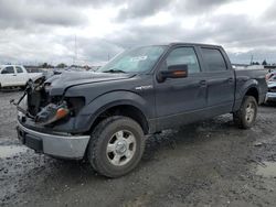 Ford salvage cars for sale: 2013 Ford F150 Supercrew