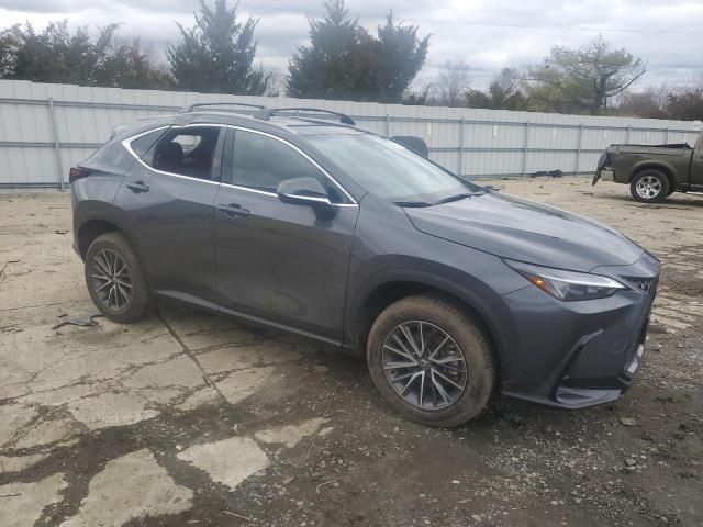 2024 Lexus NX 350 Base